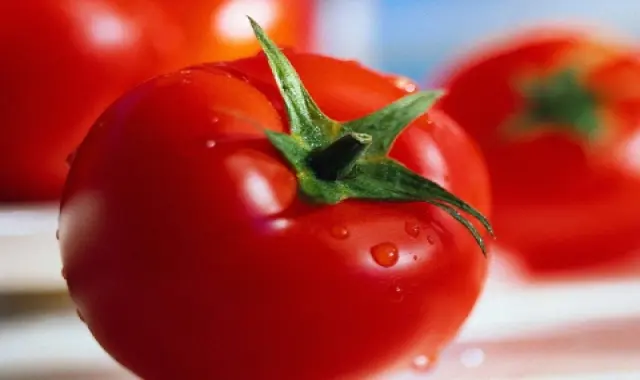 خرید جدیدترین انواع گوجه فرنگی تازه در بسته بندی های متنوع