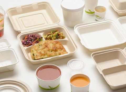 قیمت و خرید ظروف یکبار مصرف گیاهی + فروش ارزان