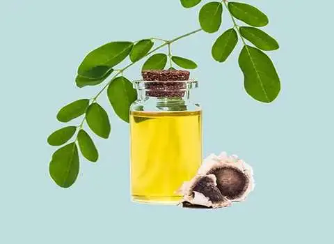 روغن مورینگا اصل همراه با توضیحات کامل و آشنایی