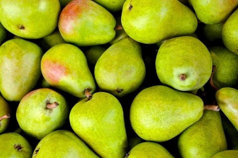 خرید انواع میوه گلابی با بهترین قیمت