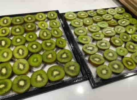 خرید کیوی خشک شده | فروش با قیمت مناسب