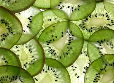 خرید بهترین انواع کیوی خشک با قیمت ارزان