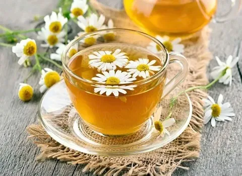 دمنوش بابونه گیاهی همراه با توضیحات کامل و آشنایی