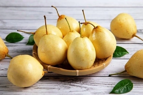 قیمت گلابی تازه