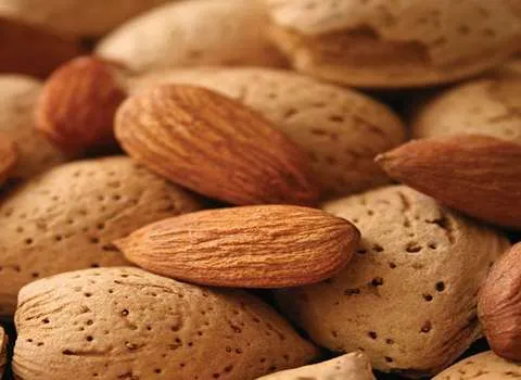 راهنمای خرید مغزبادام مامایی عمده با شرایط ویژه و قیمت استثنایی