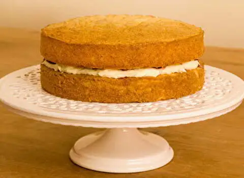 کیک خانگی در تهران؛ خوراکی سالم مهارت تولید طبیعی مواد مغذی (پروتئین کلسیم)