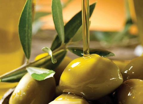 خرید بهترین روغن زیتون ارگانیک با قیمت استثنایی