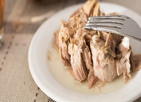 قیمت و خرید کنسرو ماهی قزل آلا با مشخصات کامل