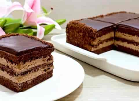 کیک بستنی شکلاتی یخچالی | خرید با قیمت ارزان