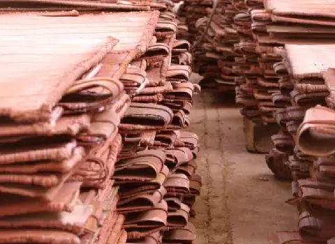 لیست قیمت کاتد مس لیچینگی به صورت عمده و با صرفه