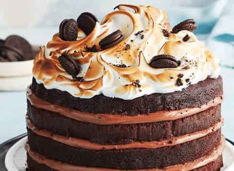 خرید کیک بستنی با خرده کیک + قیمت عالی