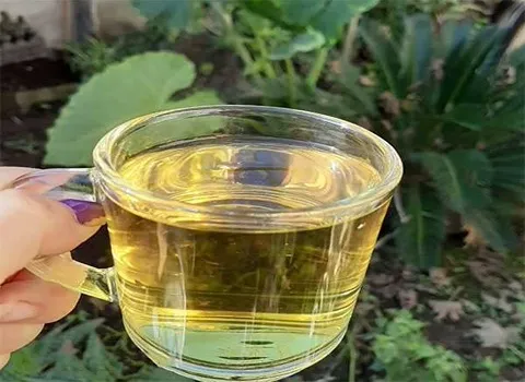 خرید عمده دمنوش کیسه ای به لیمو با بهترین شرایط