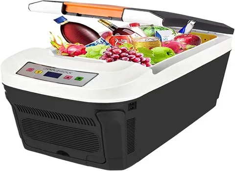 قیمت خرید یخچال خودرو ایرانی + عکس