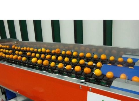 مشخصات  ماشین سورتینگ تخم مرغ مرغداری و نحوه خرید عمده