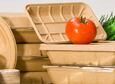 قیمت خرید ظروف یکبار مصرف گیاهی + عکس