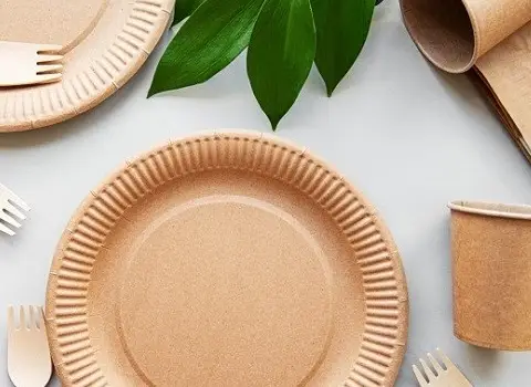 خرید ظروف یکبار مصرف مجلسی گیاهی با قیمت استثنایی