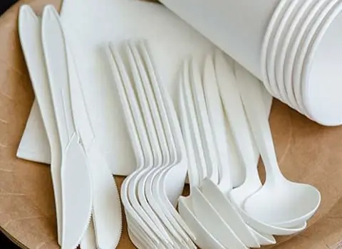 ظروف یکبار مصرف گیاهی | خرید با قیمت ارزان