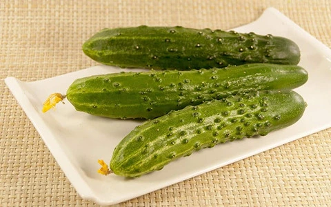 قیمت خرید خیار خاردار بوته ای + فروش در تجارت و صادرات