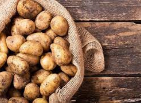 قیمت سیب زمینی + خرید و فروش عمده