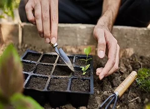 معرفی انواع کود ارگانیک + قیمت خرید روز