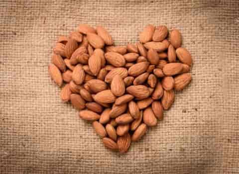 خرید و قیمت بادام درختی ۱۴۰۱ با پوست