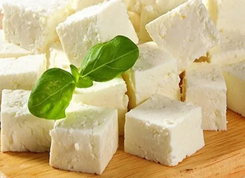 راهنمای خرید پنیر گوسفندی پاستوریزه با شرایط ویژه و قیمت استثنایی