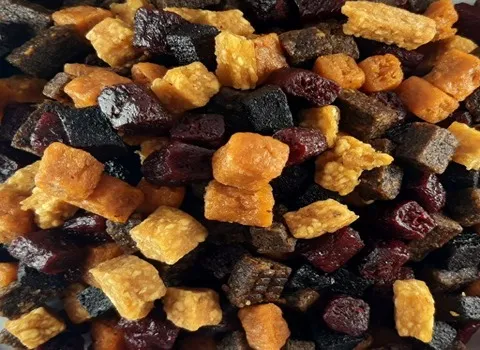 خرید عمده میوه خشک حبه ای استوایی با بهترین شرایط