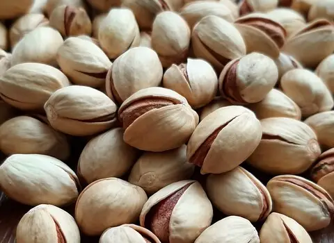 قیمت خرید پسته فندقی ارزان  + مشخصات، عمده ارزان