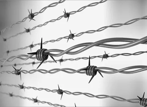 سیم خاردار باغی دست دوم؛ فلز مقاوم حافظتی امنیتی