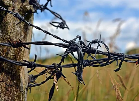 سیم خاردار در تبریز؛ فلزی مقاوم مناسب حصارکشی جداسازی