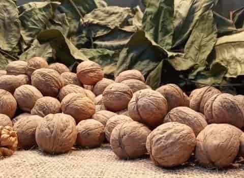 خرید عمده مغز گردو لوکس با بهترین شرایط