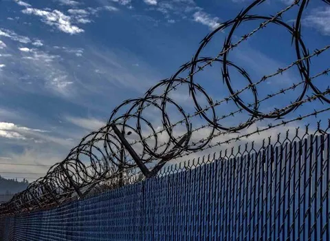 خرید و قیمت عمده سیم خاردار + فروش کلی