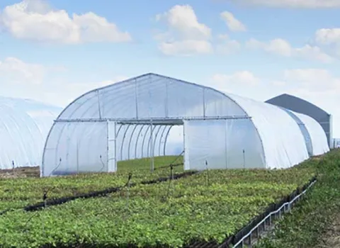 قیمت خرید نایلون ضخیم گلخانه ای امروز + مشخصات، عمده ارزان