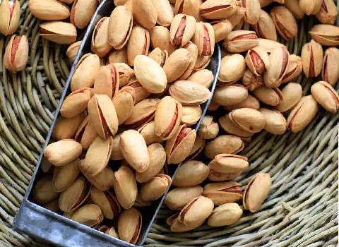 خرید انواع پسته فندقی با بهترین قیمت