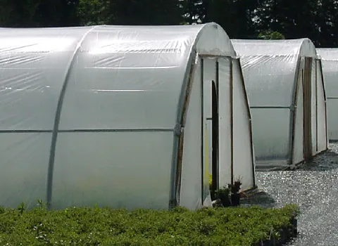 قیمت نایلون گلخانه + بهترین قیمت خرید روز نایلون گلخانه با جدیدترین لیست قیمت فروش