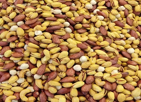 خرید انواع آجیل ایران با بهترین قیمت