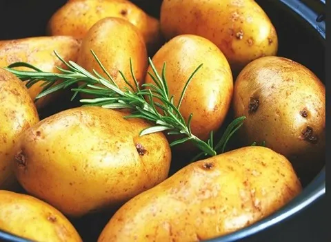 سیب زمینی آگریا همدان | خرید با قیمت ارزان