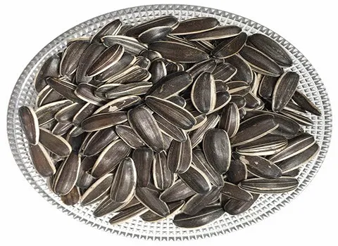 تخمه آفتابگردان خام چینی 100 گرمی | قیمت مناسب خرید عالی