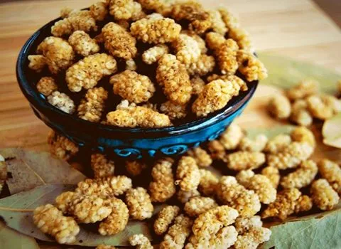 خرید جدیدترین انواع توت خشک سفید