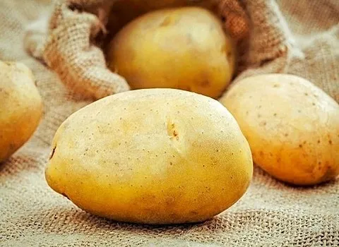 قیمت خرید سیب زمینی آگریا + خواص، معایب و مزایا