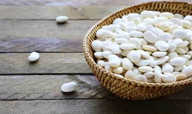 قیمت لوبیا سفید در بازار؛ بیضی شکل اندازه یکدست رشد مغزی پروتئین بالا حاوی Antioxidants