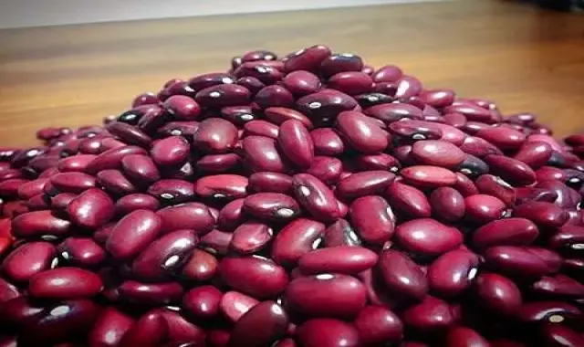 لوبیا قرمز تازه آشنایی صفر تا صد قیمت خرید عمده