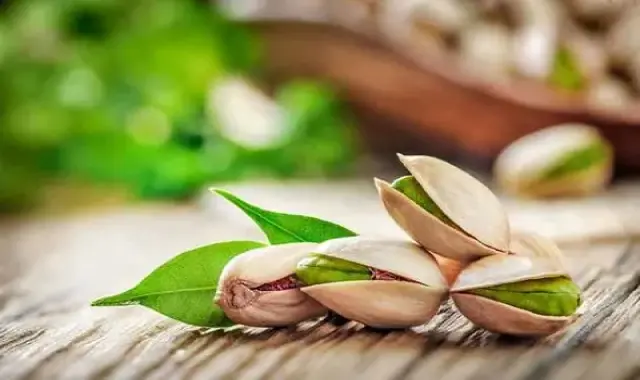 راهنمای خرید پسته احمد آقایی دستچین با شرایط ویژه و قیمت استثنایی