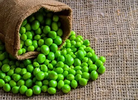 قیمت خرید عمده نخود فرنگی عمده ارزان و مناسب