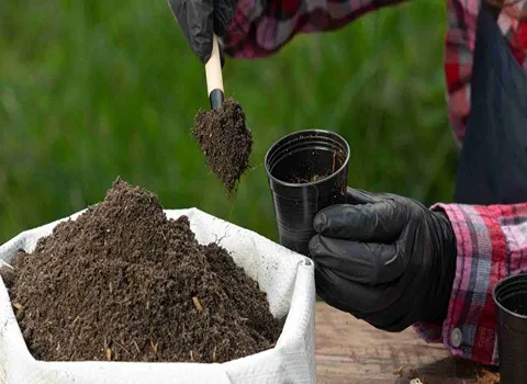 کود مرغی مایع سطلی؛ دارای نیتروژن آهن فسفر حجم 20 لیتری