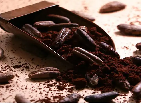 خواص قهوه هسته خرما در طب سنتی | خرید با قیمت ارزان