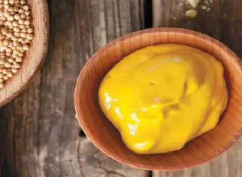 آشنایی با سس خردل + قیمت استثنایی خرید سس خردل