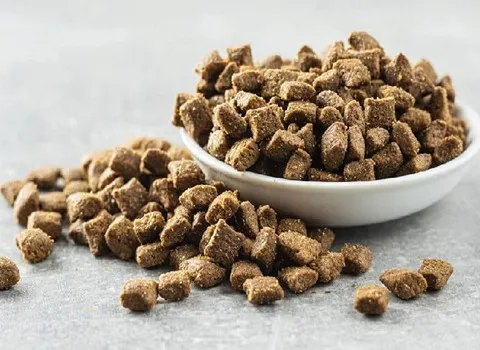 خرید انواع غذای میگو آکواریومی + قیمت