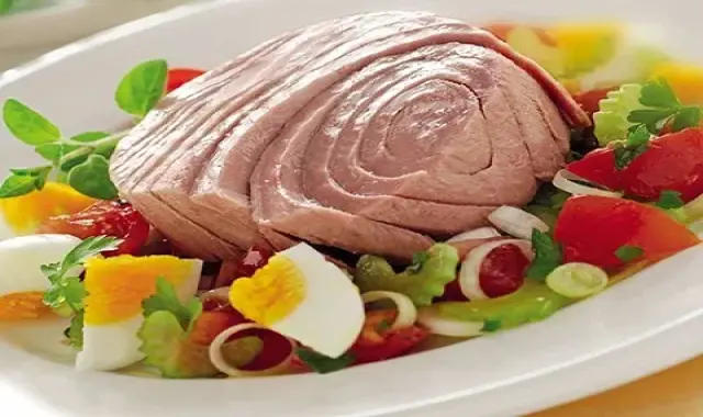 قیمت تن ماهی ارزان + پخش تولیدی عمده کارخانه