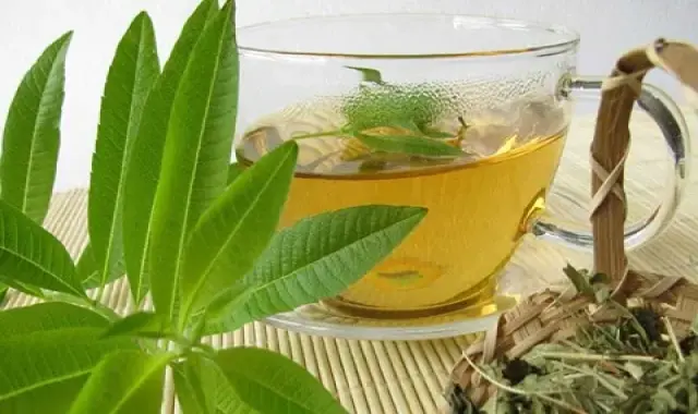 قیمت خرید عمده دمنوش به لیمو گل کوه ارزان و مناسب